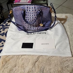 Purple medium sized authentic Brahmin purse.